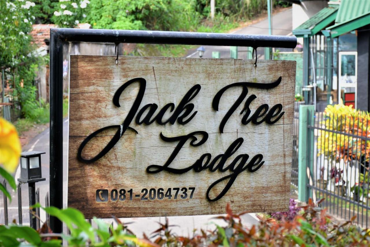 קנדי Jack Tree Lodge מראה חיצוני תמונה