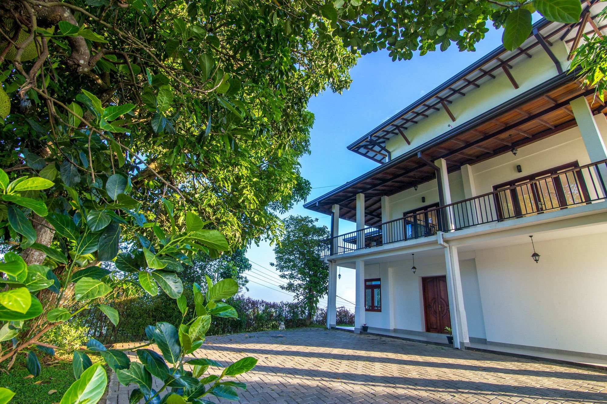 קנדי Jack Tree Lodge מראה חיצוני תמונה