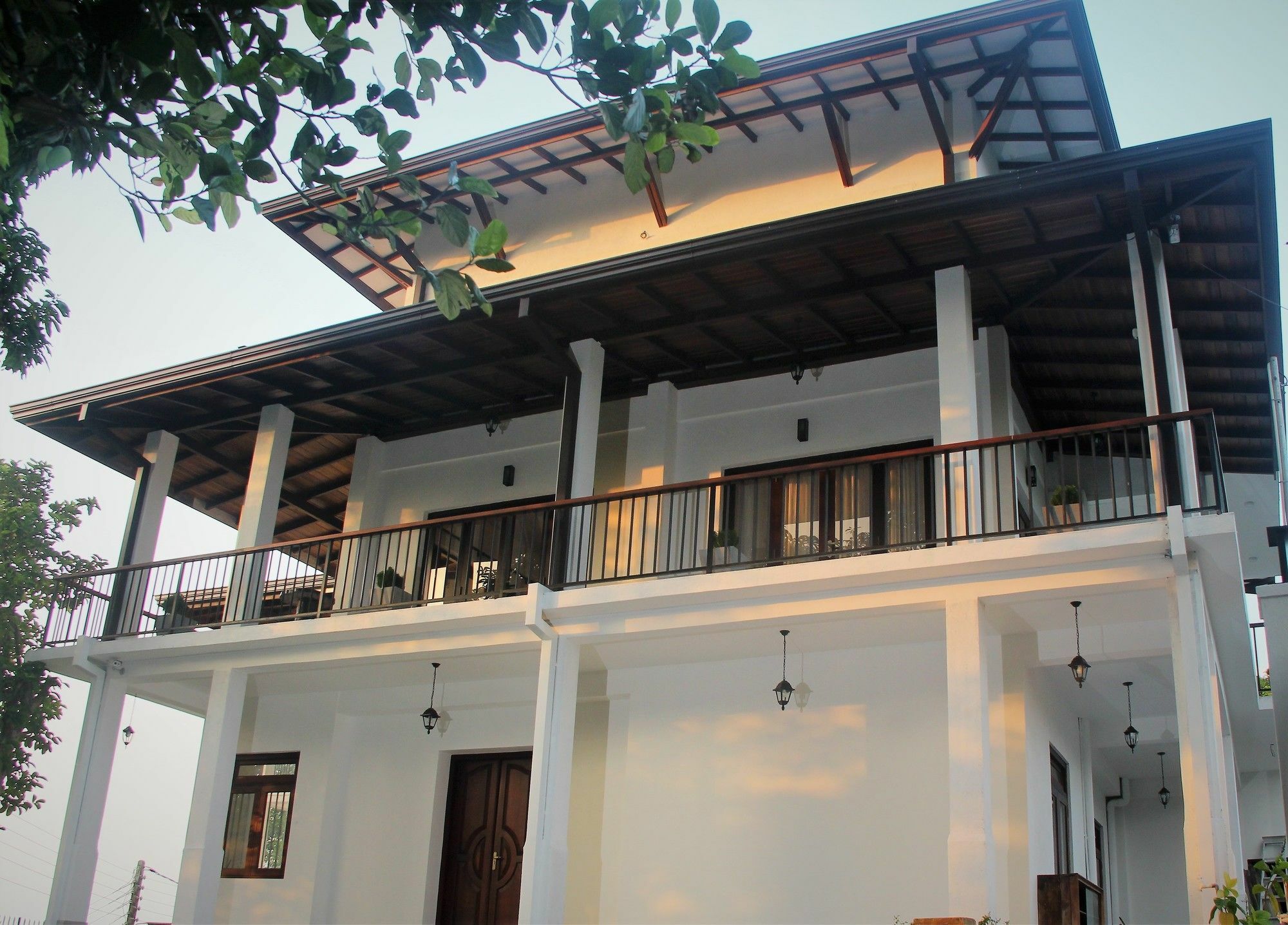 קנדי Jack Tree Lodge מראה חיצוני תמונה