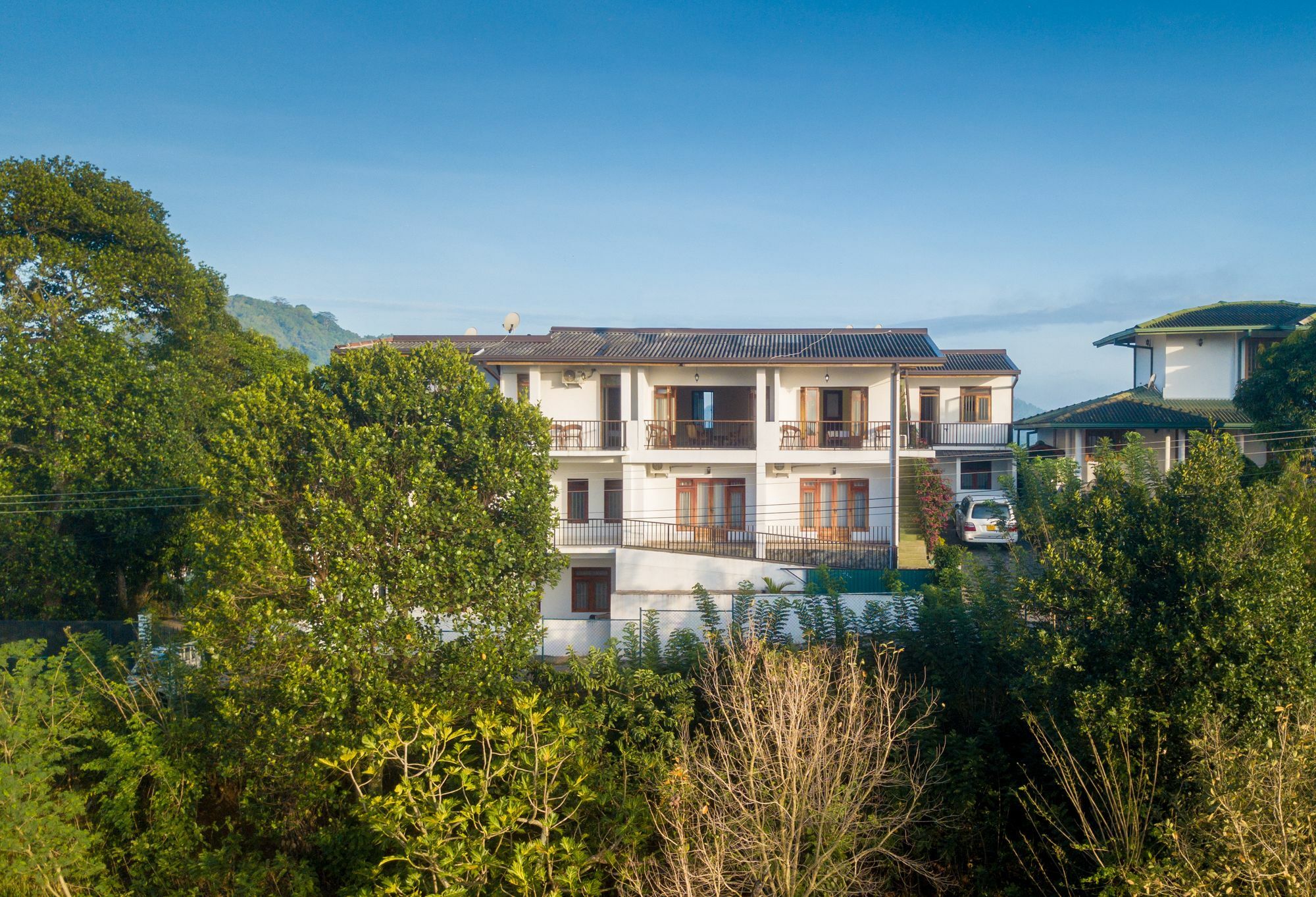 קנדי Jack Tree Lodge מראה חיצוני תמונה
