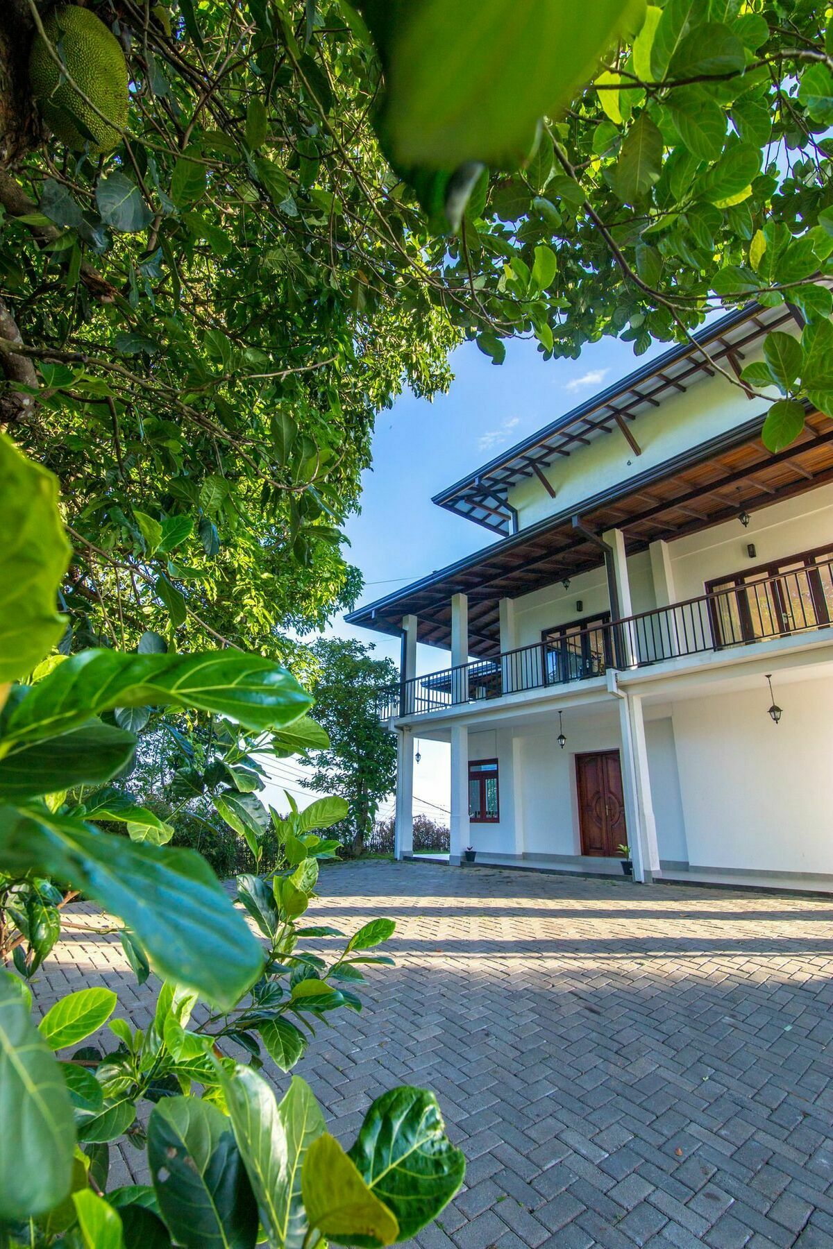 קנדי Jack Tree Lodge מראה חיצוני תמונה